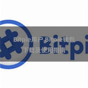 Bitpie用户 Bitpie钱包下载及使用指南