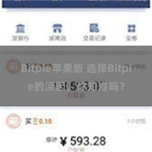 Bitpie苹果版 选择Bitpie的原因，你知道吗？