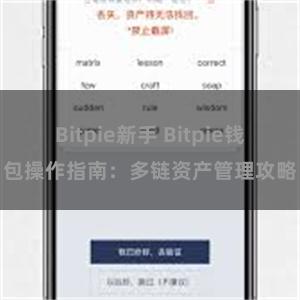 Bitpie新手 Bitpie钱包操作指南：多链资产管理攻略