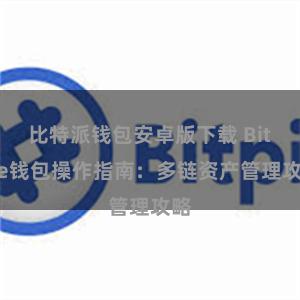 比特派钱包安卓版下载 Bitpie钱包操作指南：多链资产管理攻略