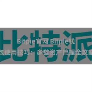 Bitpie官网 Bitpie钱包使用技巧：多链资产管理全攻略