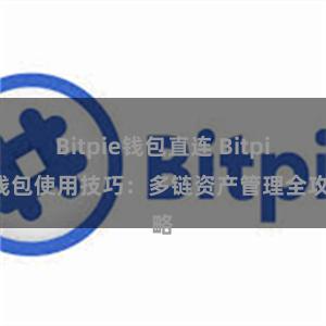 Bitpie钱包直连 Bitpie钱包使用技巧：多链资产管理全攻略