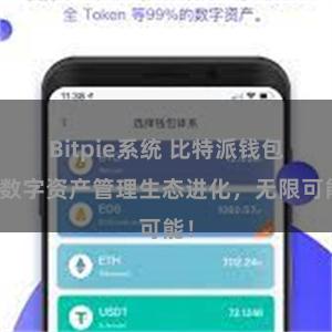 Bitpie系统 比特派钱包：数字资产管理生态进化，无限可能！