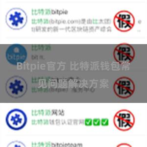 Bitpie官方 比特派钱包常见问题解决方案