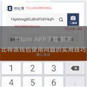 Bitpie APP下载 解决比特派钱包使用问题的实用技巧