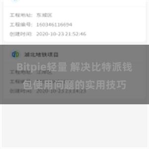 Bitpie轻量 解决比特派钱包使用问题的实用技巧