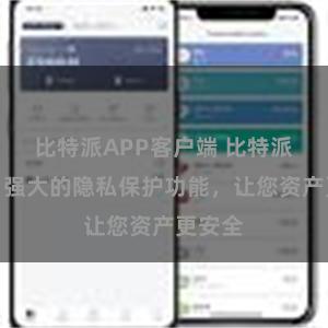 比特派APP客户端 比特派钱包：强大的隐私保护功能，让您资产更安全