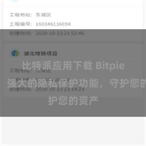 比特派应用下载 Bitpie钱包：强大的隐私保护功能，守护您的资产