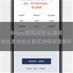 Bitpie官网推荐 比特派钱包支持的主要区块链网络解析