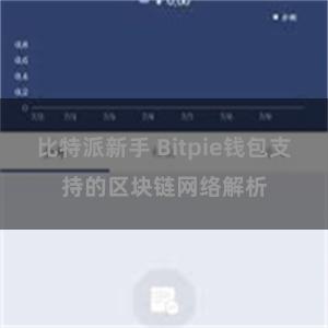 比特派新手 Bitpie钱包支持的区块链网络解析