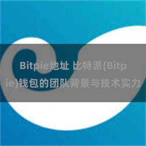 Bitpie地址 比特派(Bitpie)钱包的团队背景与技术实力