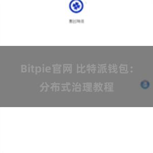 Bitpie官网 比特派钱包：分布式治理教程