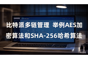 比特派多链管理  举例AES加密算法和SHA-256哈希算法