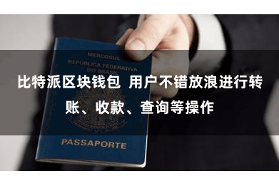 比特派区块钱包  用户不错放浪进行转账、收款、查询等操作