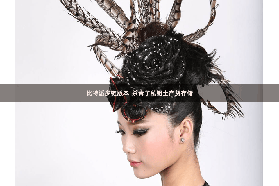 比特派多链版本  杀青了私钥土产货存储